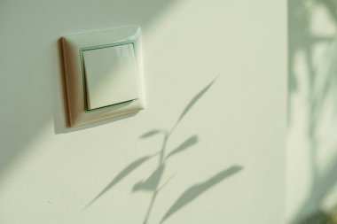 Düğme anahtarı ve ışık düğmesi.