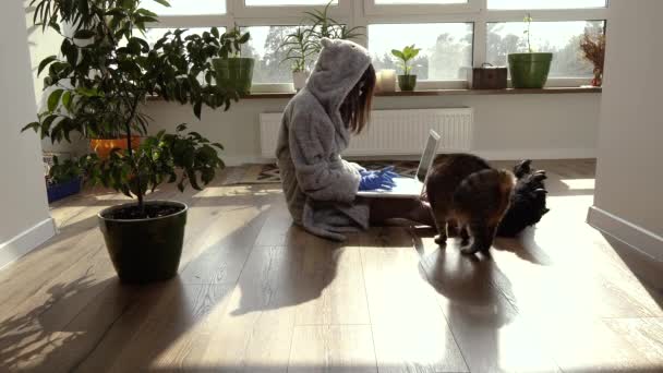 Evde Çalış Karantina Sırasındaki Bir Kadın Evde Çalışıyor — Stok video