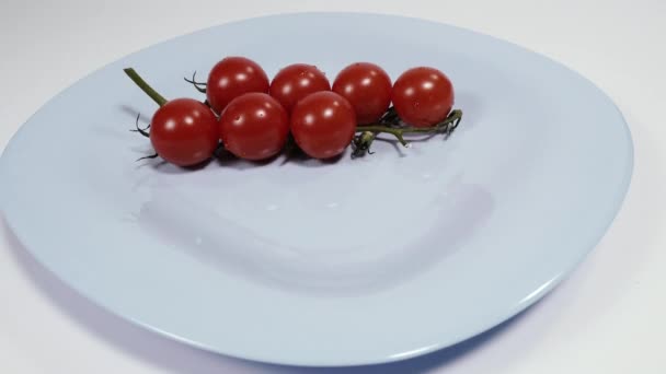 Queso Mozzarella Placa Con Tomates Mozzarella — Vídeo de stock