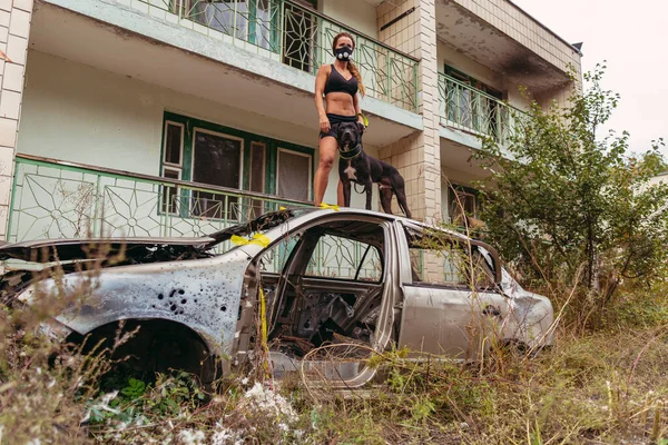 Post apocalypse. A girl is standing in a car and holding a dog on a leash.