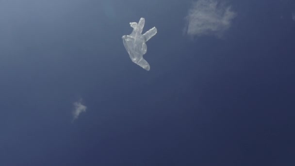 Tonterías Guante Plástico Desechable Vuela Por Aire — Vídeo de stock