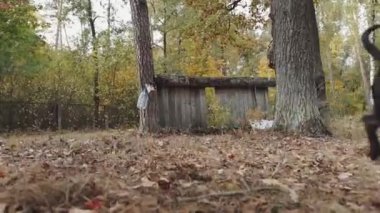 Koşun! Hipoksik maskeli bir kadın bir köpekle yarışır..