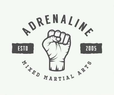 Vintage karışık dövüş sanatları logosu, rozet veya amblem. 