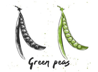 Posterler, dekorasyon için oyulmuş stil illüstrasyon vektör