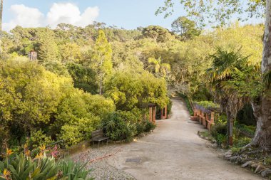 Sintra, Portekiz Monserrate parkta parfümlü yolu