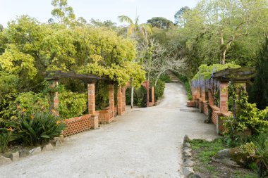 Sintra, Portekiz Monserrate parkta parfümlü yolu