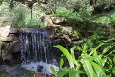 bahçede şelale üzerinde manzara