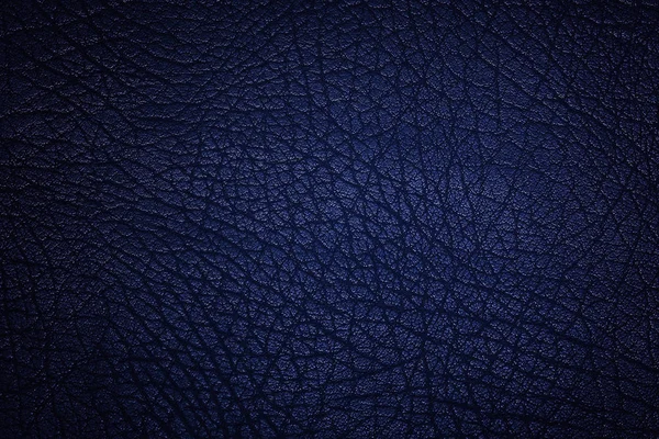 Grunge blue wall background or texture.Leather — Stock Photo, Image