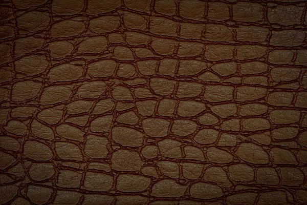Textura de piel de cocodrilo marrón. Útil como fondo.Espacio de copia — Foto de Stock