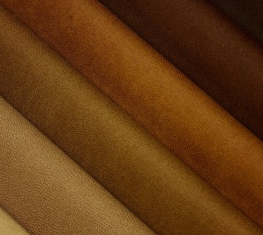 Samples of skin in different colors
