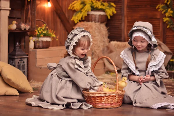 Duas Irmãzinhas Felizes Roupas Retrô Brincam Com Patinhos Estilo Country — Fotografia de Stock