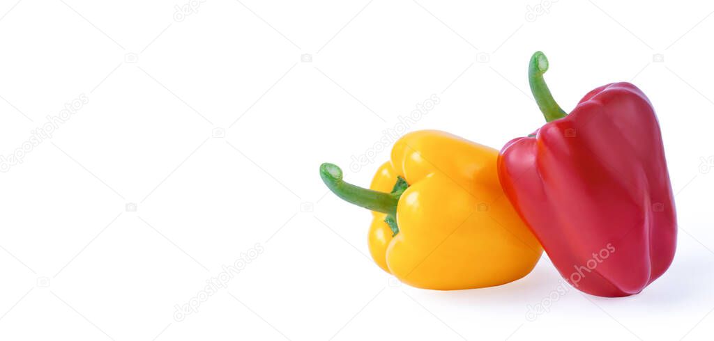 Red and yellow sweet pepper isolated on white background. Copy space for text.Banner