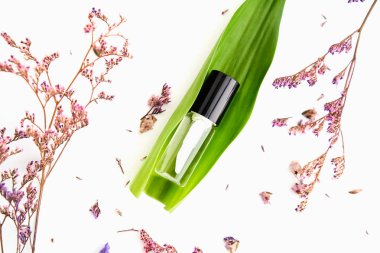 Beyaz krem şişesi yerleştirilir, sahte için boş etiket paketi kadar bir yeşil yeşillik arka plan ve çiçekler. Doğal güzellik ürünleri kavramı.