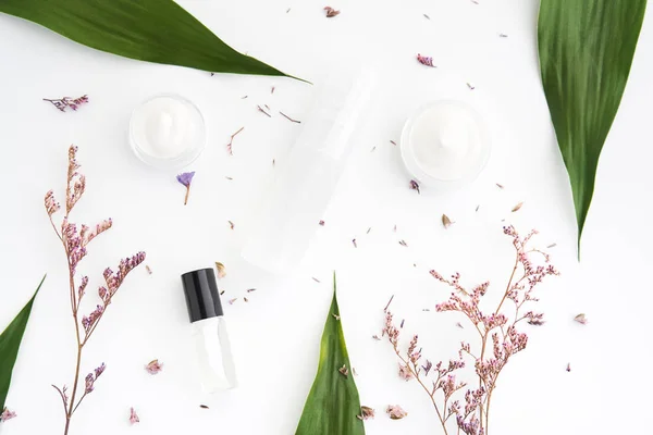 Beyaz krem şişesi yerleştirilir, sahte için boş etiket paketi kadar bir yeşil yeşillik arka plan ve çiçekler. Doğal güzellik ürünleri kavramı.