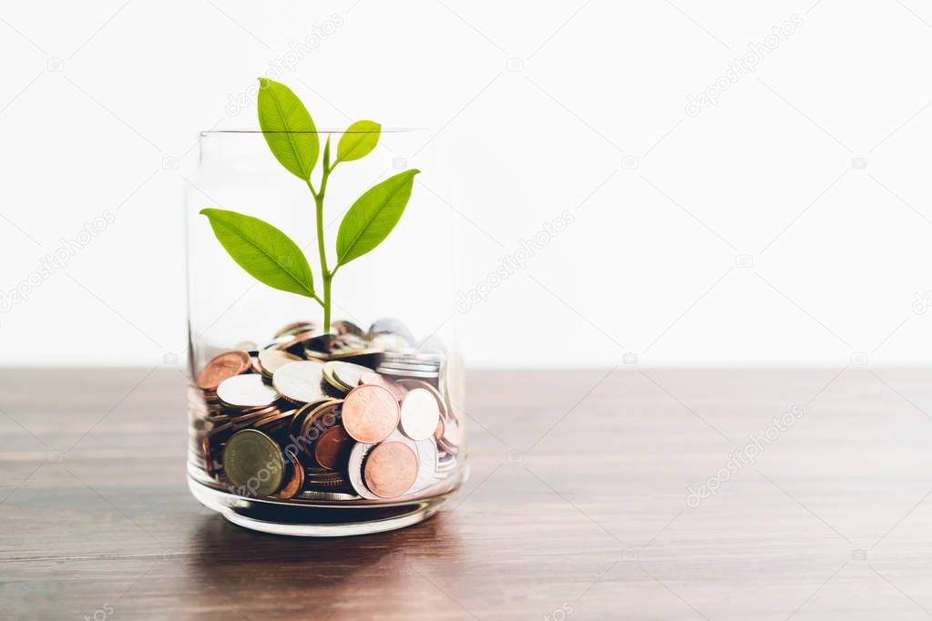 Coins in a bottle and the green tree, Represents the financial growth. The more money you save, the more you will get.