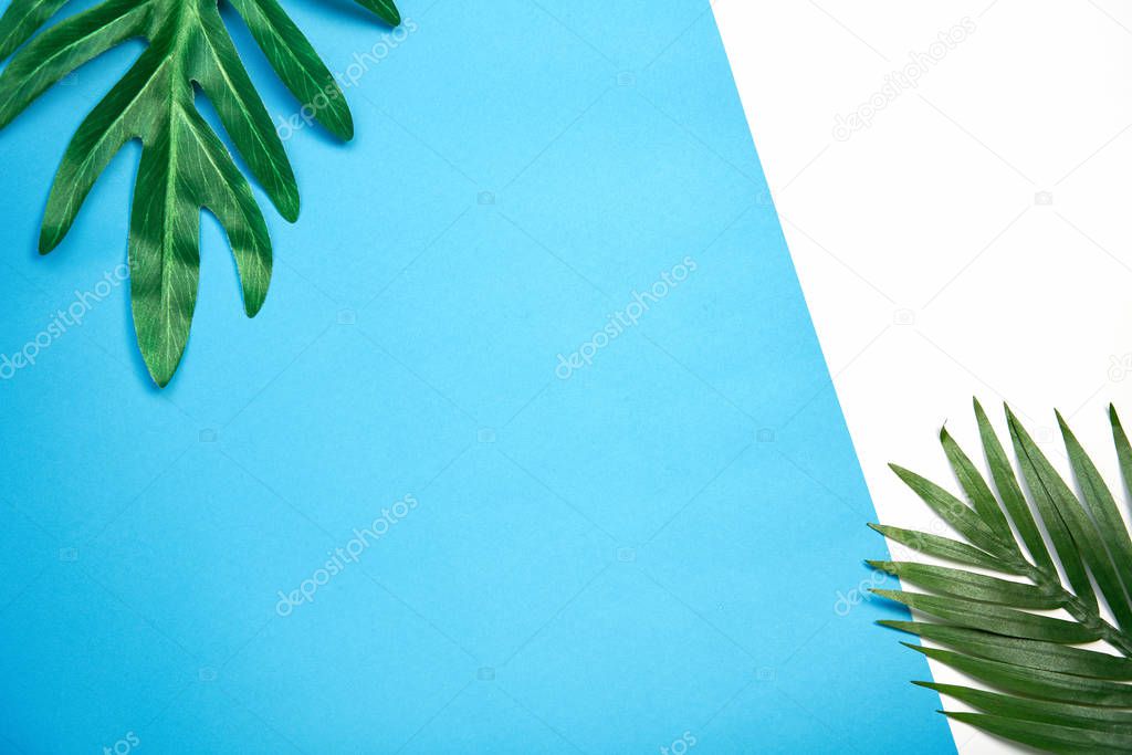 Top view abstract colorful pastel paper and leaves on background. Suitable for wallpapers.