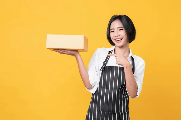 Young Smiling Asian Woman Hands Showing Cardboard Boxes Pointing Light — Stock Photo, Image