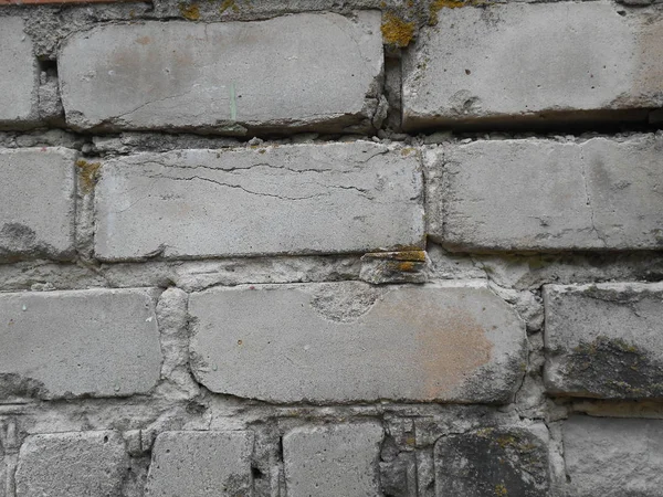 Beton ve duvar yüzeyleri