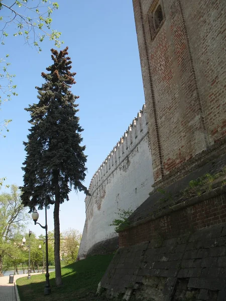 Couvent novodevichy à Moscou — Photo