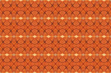 Eski ağaç güdük yüzeyle çatlaklar .