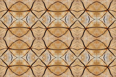 Eski ağaç güdük yüzey