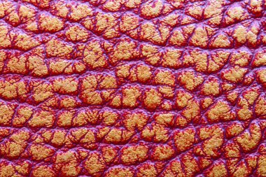 deri dokulu arka plan .