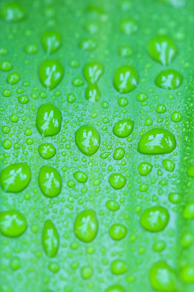 Gotas de agua en las hojas en la naturaleza  . — Foto de Stock
