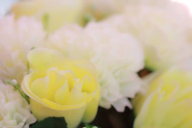 Güzel ve yumuşak çiçek.