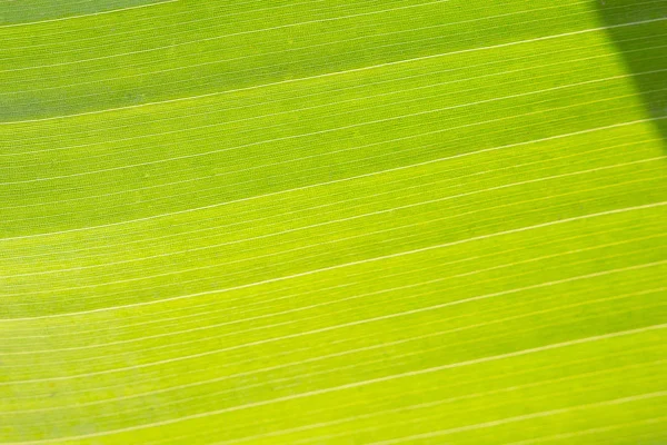 Textura pozadí podsvícení. — Stock fotografie