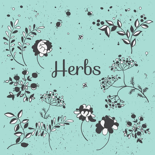 ハーブと花のセット。手描き植物。ベクトル植物イラスト. — ストックベクタ