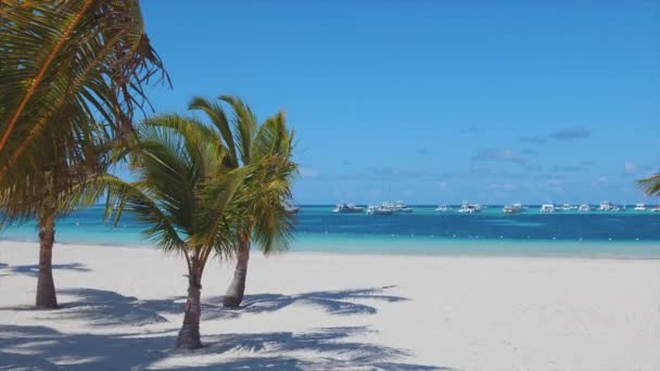 Strand Een Tropisch Eiland Met Wit Zand Kokosbomen Jachten Boten — Stockvideo