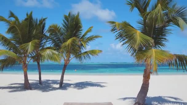 Belle plage tropicale avec des palmiers de sable blanc ciel bleu et eau turquoise. Paradise Island. Punta Cana Bavaro .