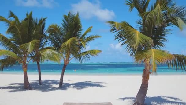 Schöner Tropischer Strand Mit Weißen Sandpalmen Blauem Himmel Und Türkisfarbenem — Stockvideo