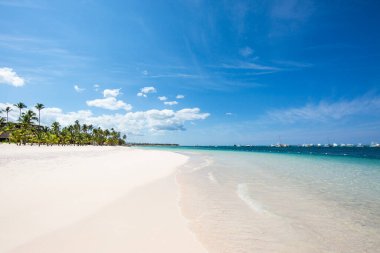 Atlantik Okyanusu kıyısındaki tropikal bir adada, güzel bir kumsalın beyaz kumsalında bir dalga. Dominik Cumhuriyeti 'nde tatiller