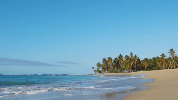 日落时 海浪在沙滩上飘扬 美丽的野生海滩 海边有棕榈树 在一个天堂的海岛上 — 图库视频影像