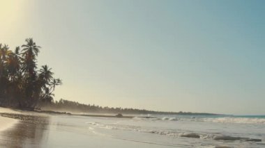 Gün batımında kumsal, eski film rengi. Denizdeki cennet adasında palmiye ağaçları olan güzel, vahşi bir sahil. Kumda dalgalar