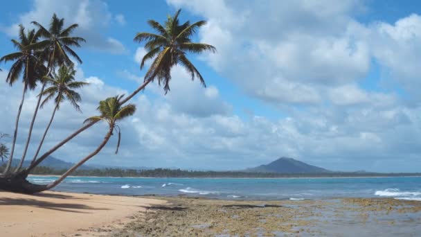 棕榈树覆盖在水面上 在美丽的野生海滩上 背景是高山 热带天堂的云彩和阳光 多米尼加共和国 Punta Cana Redonda — 图库视频影像