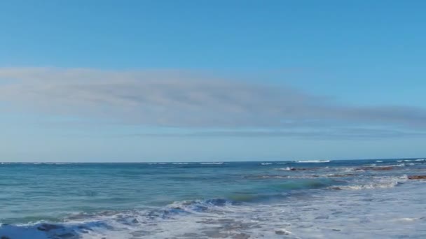 Bela Paisagem Tropical Oceano Atlântico Câmera Move Longo Horizonte Palmeiras — Vídeo de Stock