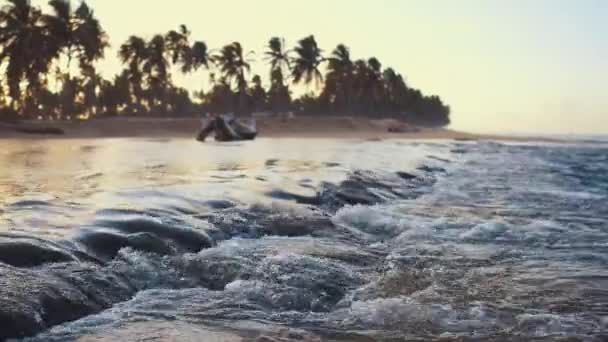 大西洋に流れ込む川の近くは 日没時に高いヤシの木を持つ熱帯ビーチの海岸の岩の上に激怒ドミニカ共和国 — ストック動画
