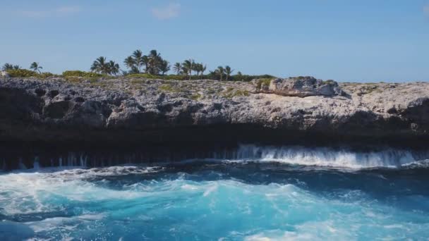 Turquoise Ocean Water Foams Flows Cliff Waves Crashing Rocks Palm — Stock Video