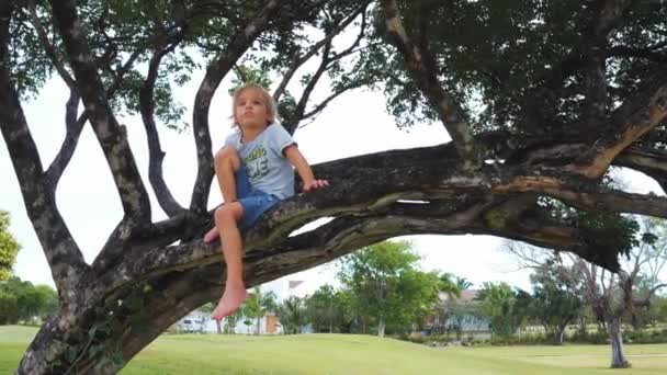 Bambino Siede Ramo Albero Guarda Lontananza Buona Infanzia Bambino Gioca — Video Stock