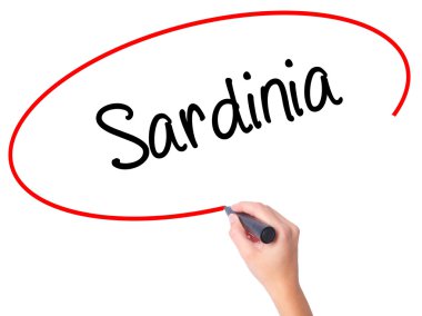 Kadın el Sardunya ile siyah kalemi görsel ekranda yazma.