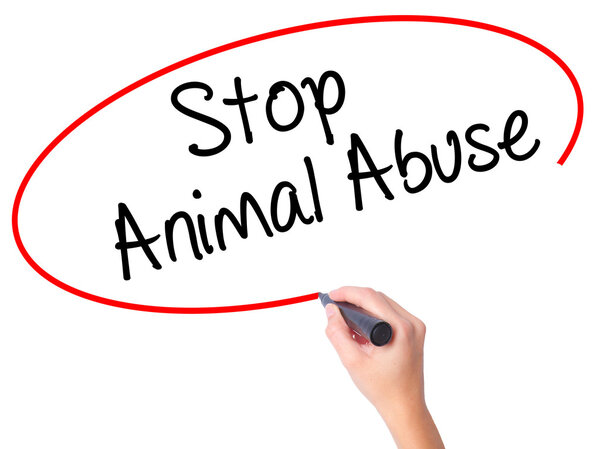Women Hand writing Stop Animal Abuse with black marker on visual