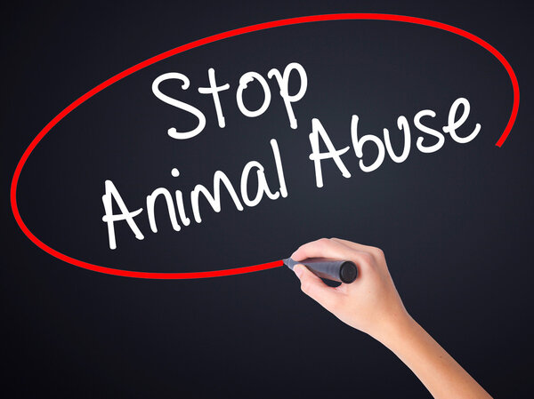 Woman Hand Writing Stop Animal Abuse with a marker over transpar