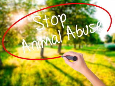 Woman Hand Writing Stop Animal Abuse with a marker over transpar clipart