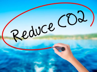 Kadın el yazma azaltmak Co2 şeffaf boa üzerinde bir marker ile