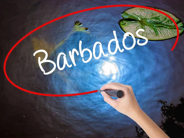 Frau schreibt Barbados mit Filzstift über transparente Tafel — Stockfoto