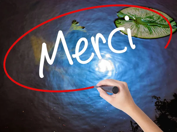 Woman Hand Writing Merci  (Thank You In French) with marker over — Stock Photo, Image