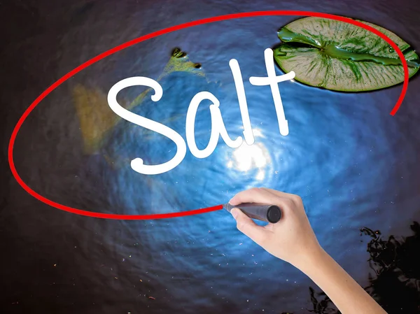 Woman Hand Writing Salt with marker over transparent board — Stock Photo, Image