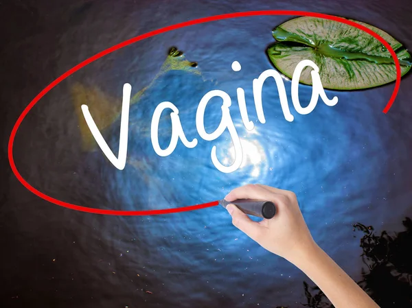 Woman Hand Writing Vagina with marker over transparent board — Stock fotografie